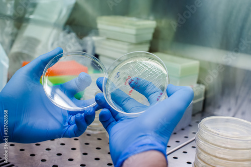 Growing bacteria to create CAR therapy - the novel method for leukemia, lymphoma therapy, and also could be tested for severe covid-19 tratment