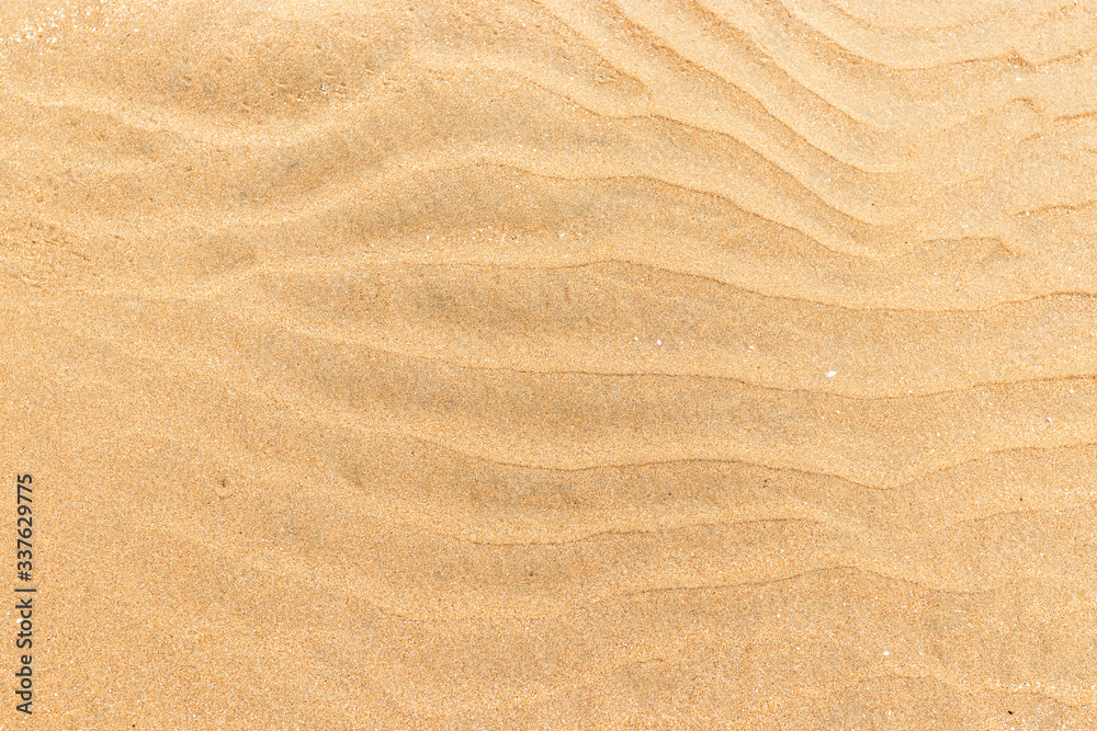 sand texture on the sea coast sand texture on the sea coast