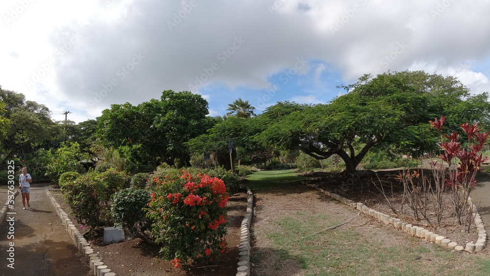 Fototapeta premium Honolulu from Diamond head national park to honolulu beach in sunset