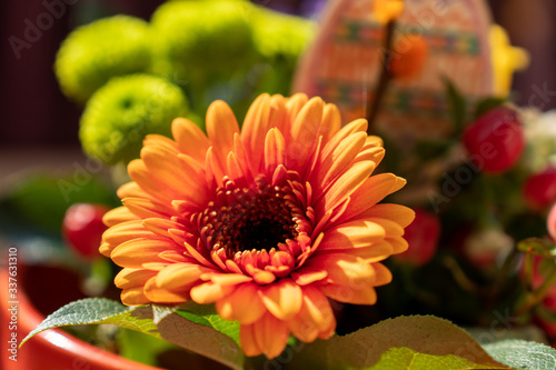 Fr  hlingsblumen im Topf mit Osterdekoration