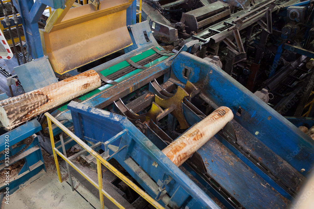Log conveyor in a plywood factory Log conveyor in a plywood factory