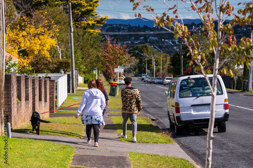 Walking the dog in Auckland North Shore