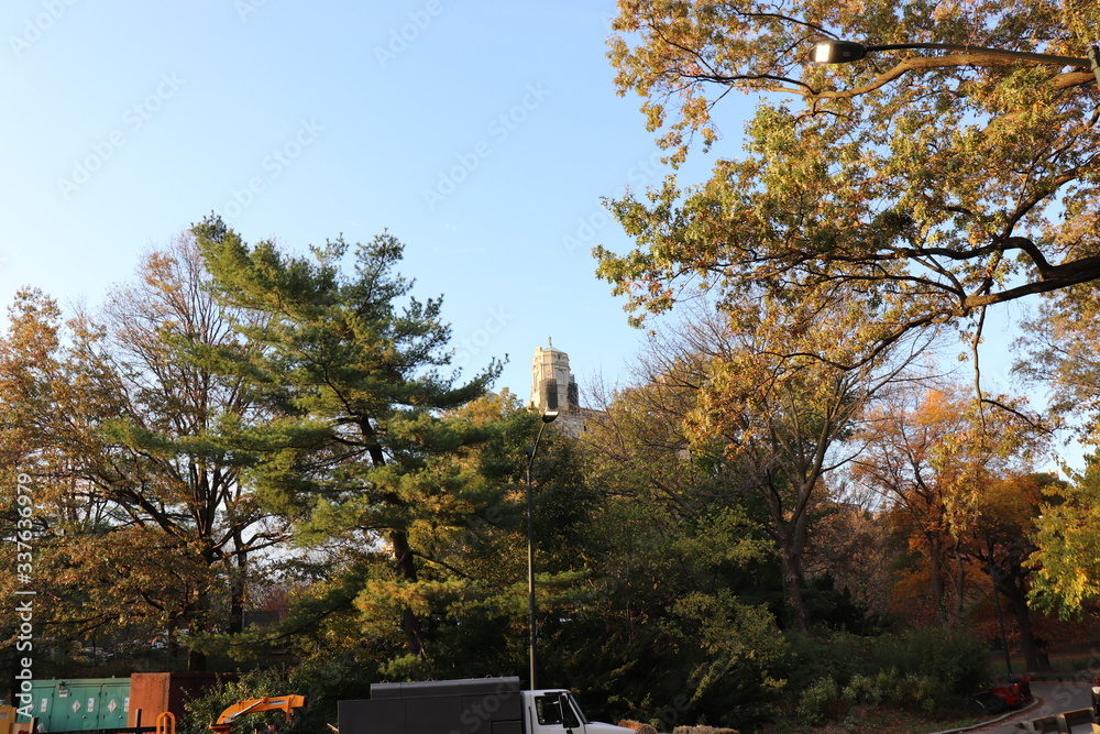 New York in her beautiful autumn suit Central Park
