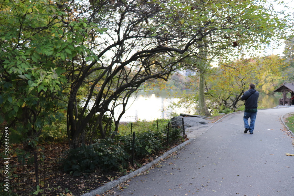 New York in her beautiful autumn suit Central Park New York in her beautiful autumn suit Central Park