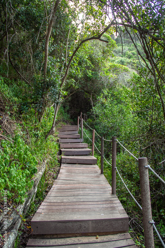 Wanderung zur Suspension Bridge im Storms River Mouth Restcamp an der Garden Route Wanderung zur Suspension Bridge im Storms River Mouth Restcamp an der Garden Route
