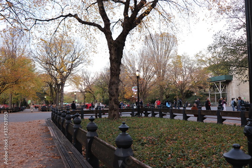 New York in her beautiful autumn suit Central Park