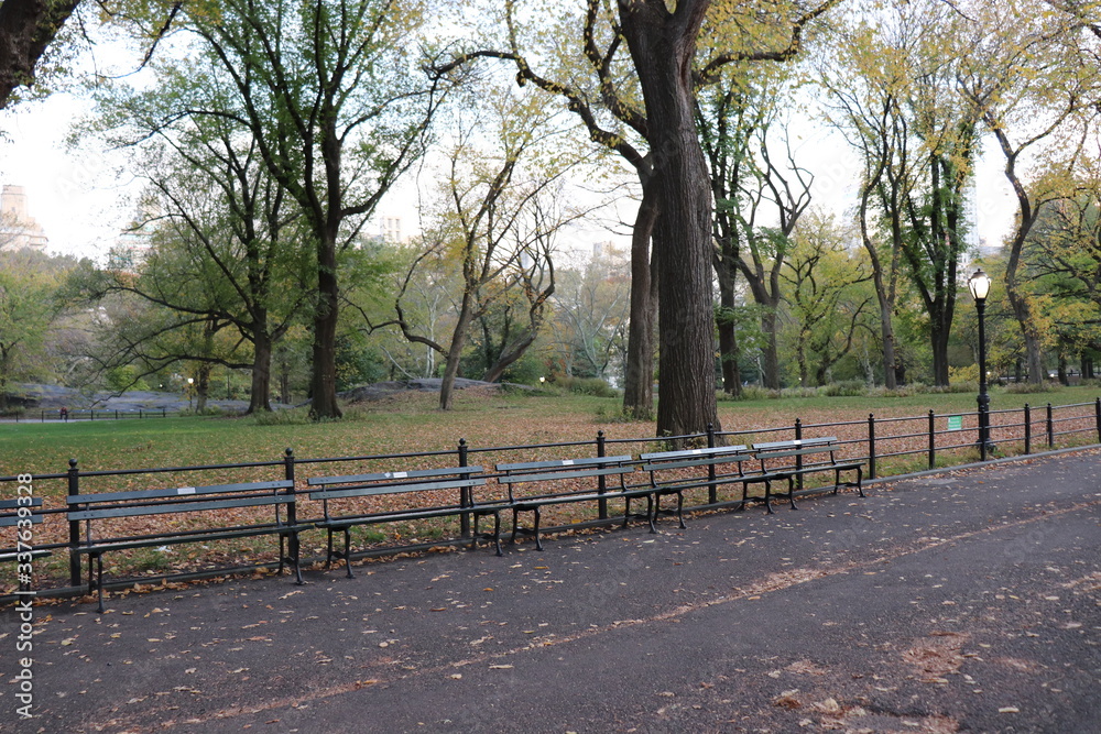 New York in her beautiful autumn suit Central Park New York in her beautiful autumn suit Central Park