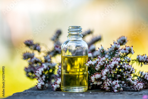 Essential oils and medical flowers herbs on bokeh background.