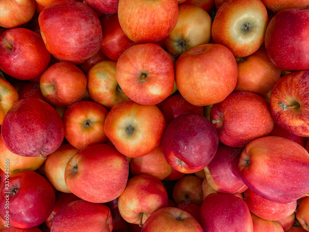 Red ripe apple background freshly picked from tree Red ripe apple background freshly picked from tree