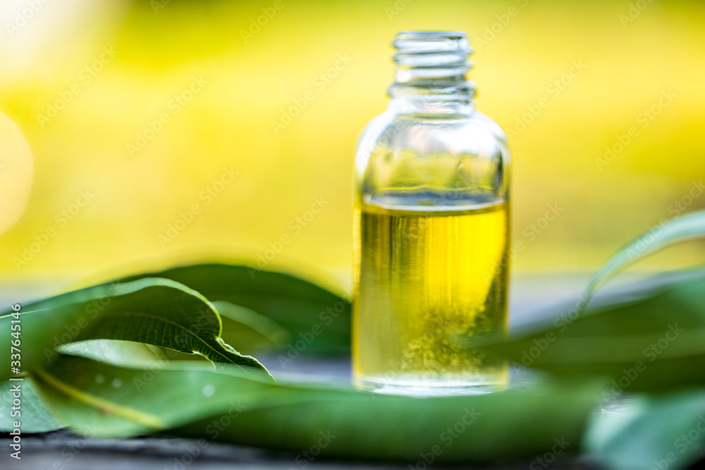 Traditional medicine: Eucalyptus essential oil bottle with leaves, close up on bokeh background.