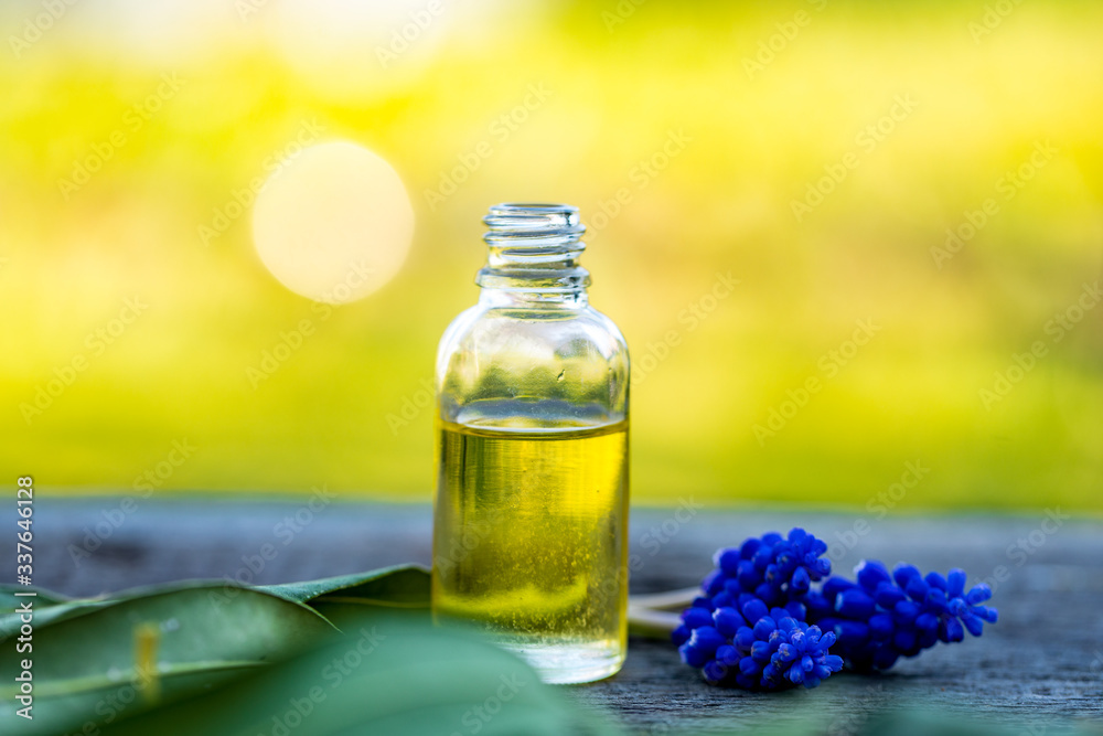 Herbal aroma oil bottle with various drugplant flowers, wooden surface, nature background in blur. Soft focus. Pure natural beauty care. Herbal aroma oil bottle with various drugplant flowers, wooden surface, nature background in blur. Soft focus. Pure natural beauty care.