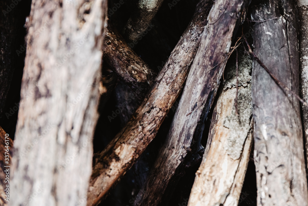 wooden sticks, firewood, wood background wooden sticks, firewood, wood background