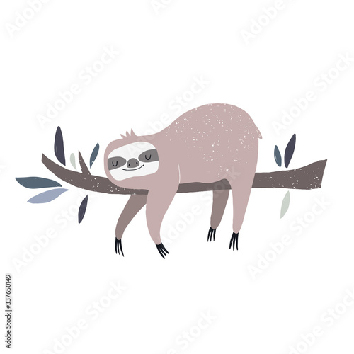 Vector color hand-drawn children’s illustration, poster, print, card with a cute sloth on a branch in Scandinavian style on a white background. Cute baby animals. Scandinavian. Baby print with sloth
