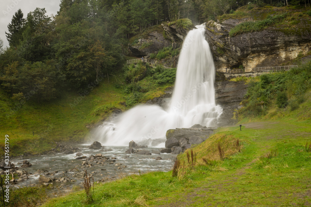 Fototapeta premium waterfall in the forest