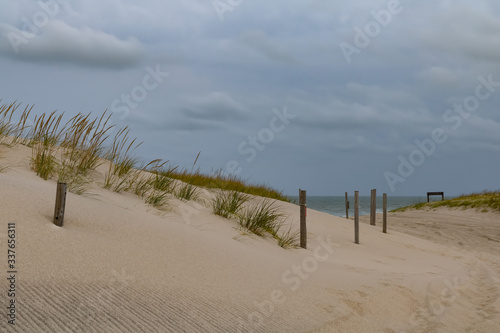 Island Beach State Park is located at in southern New Jersey at the popular Jersey shore and specifically Point Pleasant. The beach is clean  the surf delightful  the dunes are healthy. Can camp