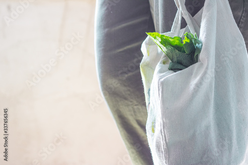 Woman holding textile glocery bag with vegetables. Canvas tote bag. Eco friendly / Zero waste concept.
Reusable shopping bag
cotton shopper bag, concept without plastic. Female hands hold eco bag photo