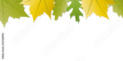 green and yellow autumn leaves white background with copy space vector illustration EPS10