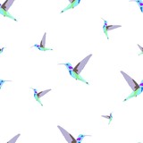 Vector seamless pattern. Hummingbird.
