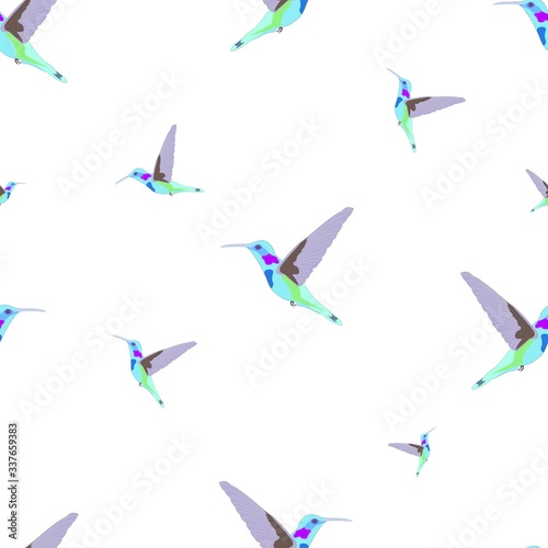 Vector seamless pattern. Hummingbird.