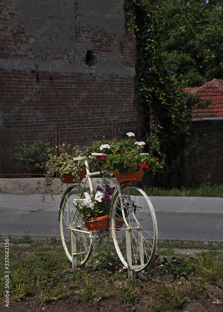 Fancy bike