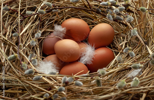 Chicken eggs, feathers in a nest with willow branches. Easter.