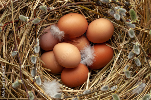 Chicken eggs, feathers in a nest with willow branches. Easter.
