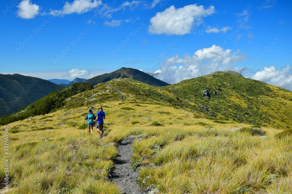 Walking to Mount Arthur Kahurangi National Park, New Zealand, South Island.