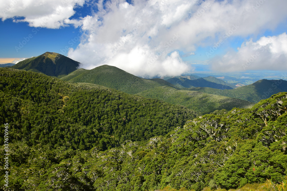 Beautiful mountain landscape in the Kahurangi National Park, New Zealand, South Island. Beautiful mountain landscape in the Kahurangi National Park, New Zealand, South Island.