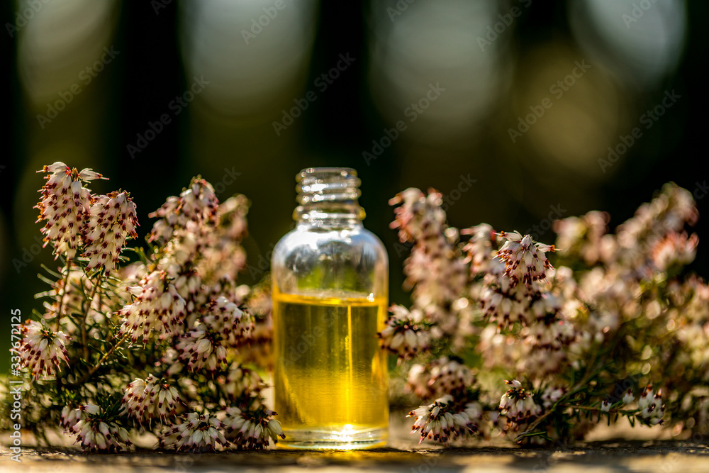 Fresh flowers, different essential oil bottles on bokeh background. Concept alternative healthcare. Aromatherapy concept. Fresh flowers, different essential oil bottles on bokeh background. Concept alternative healthcare. Aromatherapy concept.