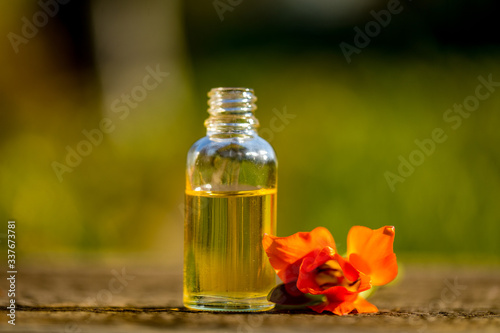 Bottles of essential oil with dried and fresh herbs and frankincense resin