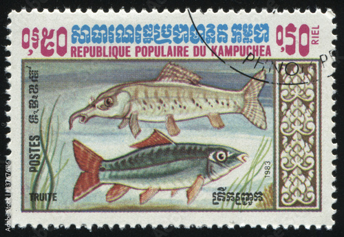 postage stamp with fish