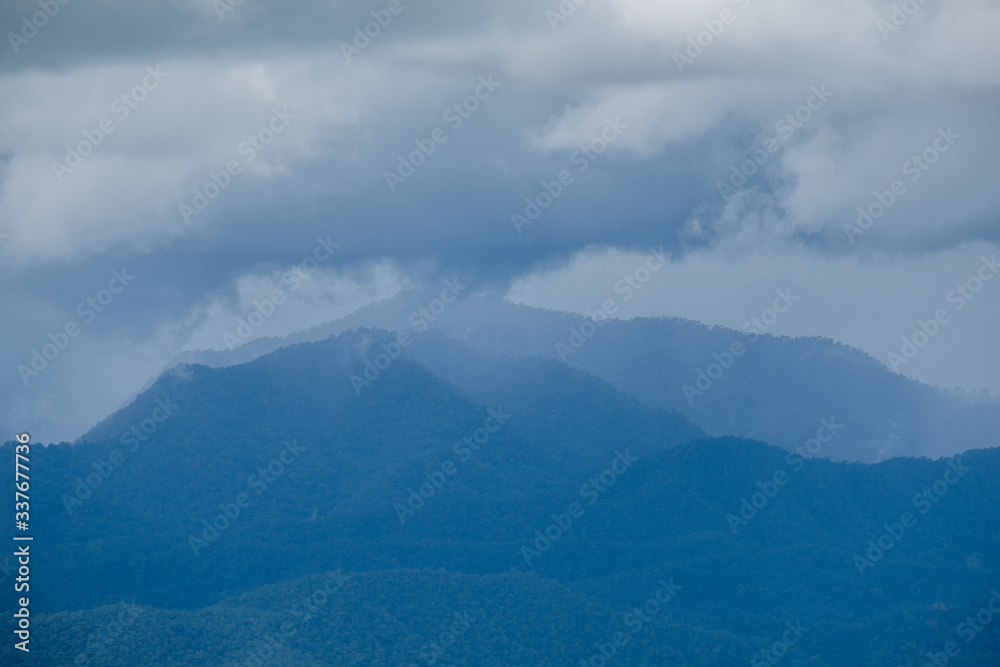 Forest during the rainy season on the mountains of northern Thailand Forest during the rainy season on the mountains of northern Thailand