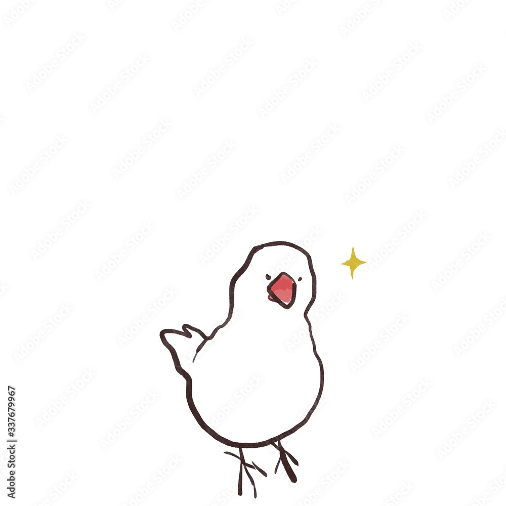 キリッとしている文鳥(白文鳥) キリッとしている文鳥(白文鳥)
