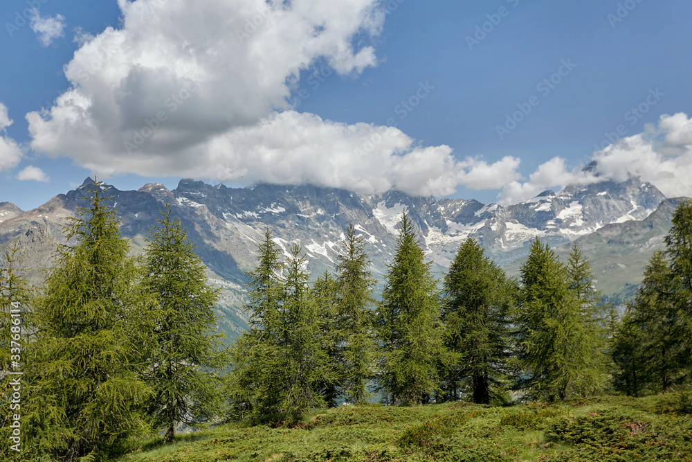 Bright green trees stand in a row against the blue sky and high majestic mountains.