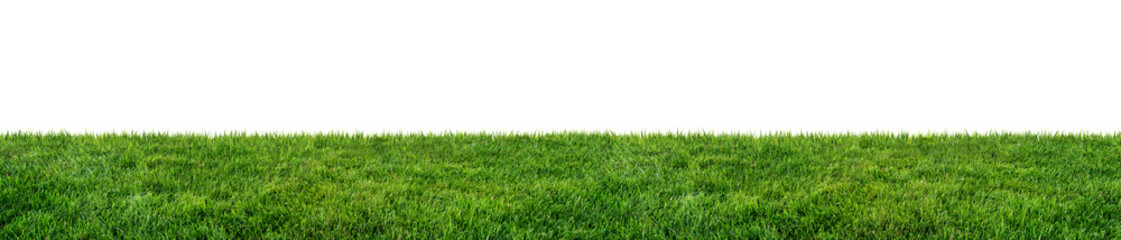 green grass field isolated on white background