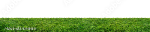 Fotografie, Obraz green grass field isolated on white background