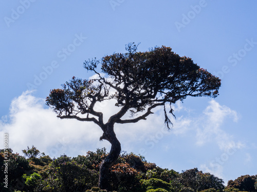 SRI LANKA photo