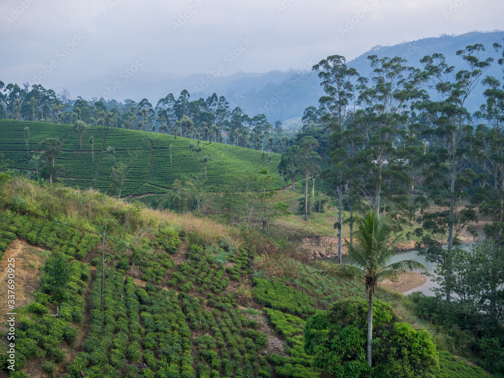 Obraz premium SRI LANKA