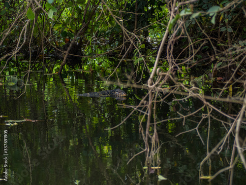 SRI LANKA