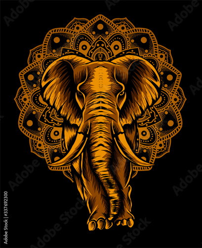 Adult elephant full body vector illustration art