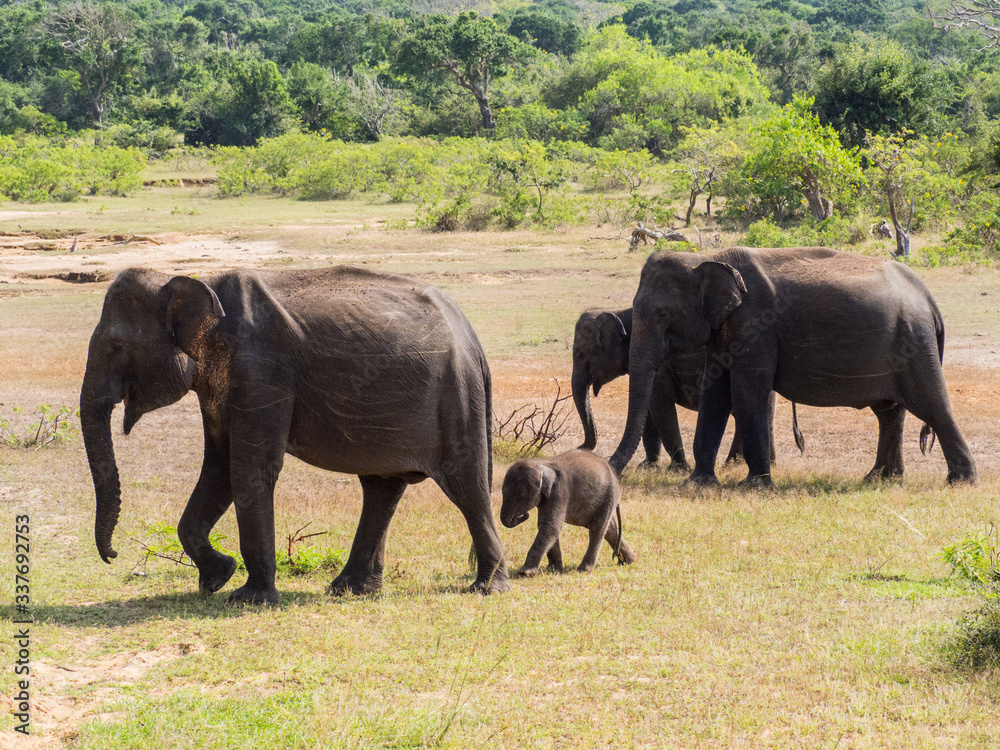 SRI LANKA