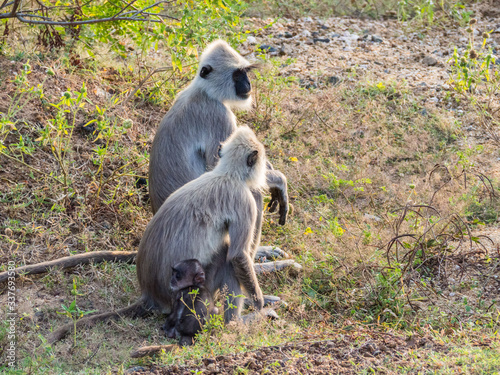 SRI LANKA