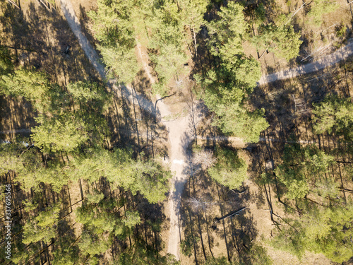 A dirt path in the coniferous forest in spring. Aerial drone view.