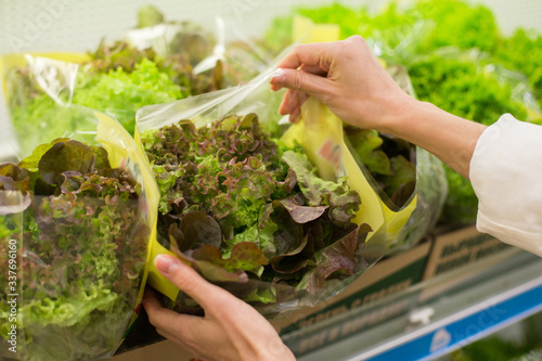 A woman buys oakleaf salad in a package. Buying Fresh Farm Bio Vegetarian Products in grocery market photo