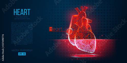 Abstract silhouette of the polygonal organ of heart on blue background. Scanning, research and diagnosis of the human heart. Holographic low poly, wireframe vector. Thanks for watching