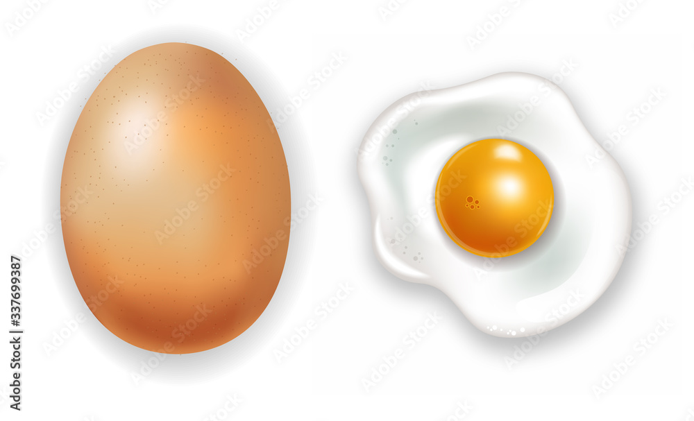 Egg vector realistic Egg vector realistic