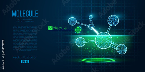 Abstract silhouette of the polygonal molecule on blue background. Scanning, research, study of the molecular world. Holographic low poly, wireframe vector. Thanks for watching