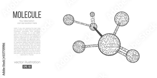 Abstract silhouette of the polygonal molecule on white background. Scanning, research, study of the molecular world. Holographic low poly, wireframe vector. Thanks for watching