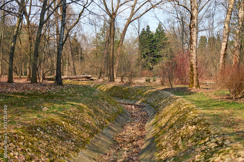 warm sunny spring day in the botanical garden, Minsk, Belarus, March 2020 warm sunny spring day in the botanical garden, Minsk, Belarus, March 2020