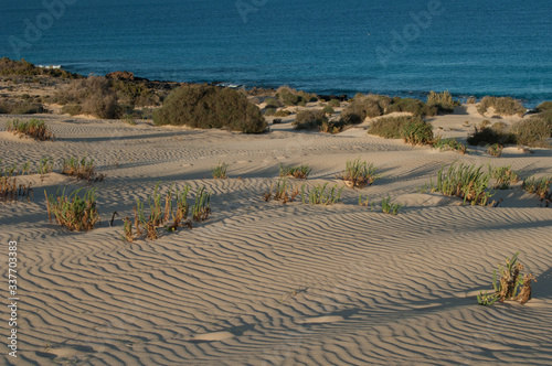 Corralejo dunes in the Corralejo Natural Park. La Oliva. Fuerteventura. Canary Islands. Spain.